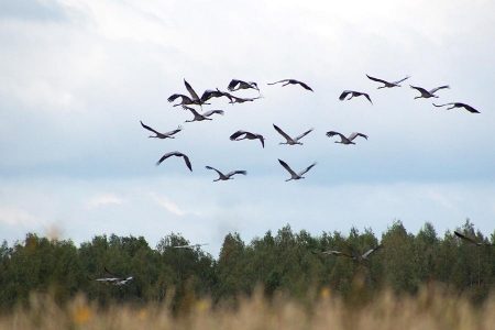 ���� �������� � ���������� �������