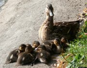 ���� � �����