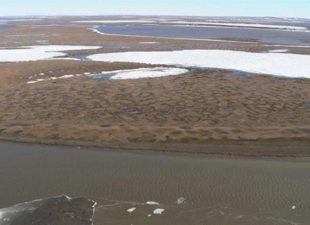 �������� ������ ����� ������ ���� ������ �� ����  �������