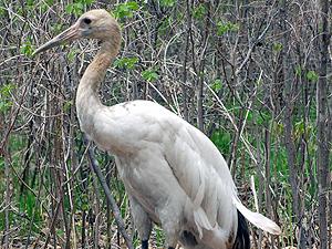 �������� �� ������� �������� � �������� �������� ������� ���