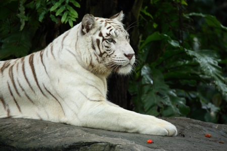 �  ������������� �����  ���������������!