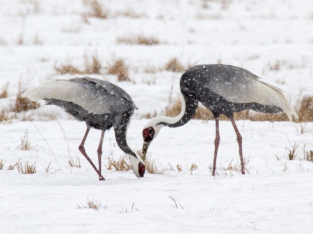 ������������� ����� ����� ������!