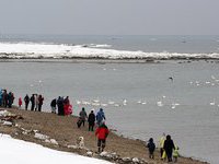 �� ������� � ������� ��������� ������