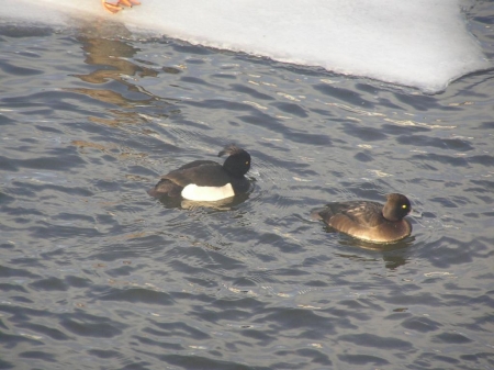 ����� ������ ������������� ���� �� ���� ������ � ������ � ������� � ����� 2012/2013 ��.