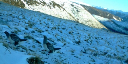 ���������� ����� ������� ������� � �����