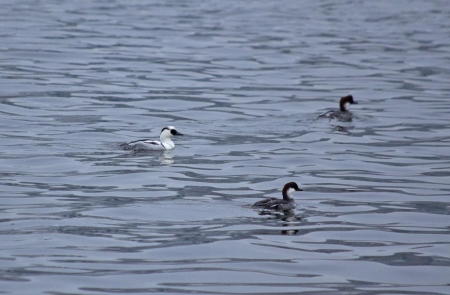 ������� ����� ����������� ����� 2012 �. ������������� � ����������� ���� �� ���� ������.