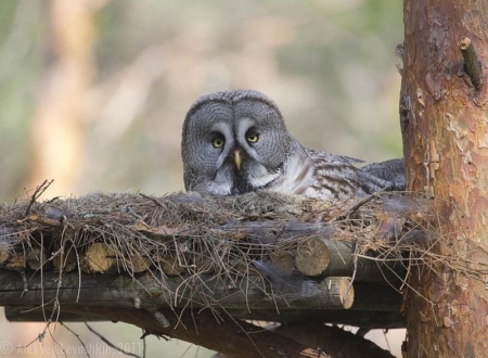 ��������� ������� ������������ �� ������������� ��������� ��������� � �������������.