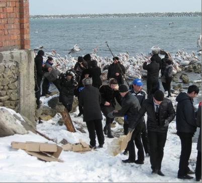 �������� � ������ ��������