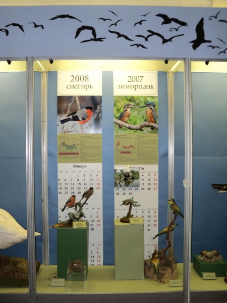 ������������� ����� ����������� �� ����� ���� 2011