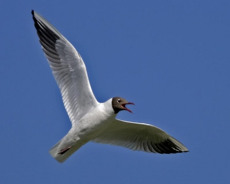 ����� � 2012: ���� �� ����.  2 ������