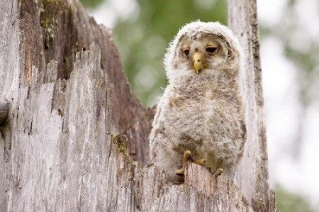 ���������� �������� ����� ������!