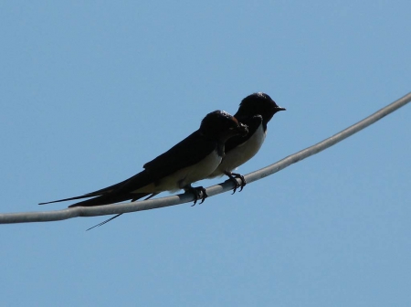 �����-2014: ���� �� ����. 2 ������