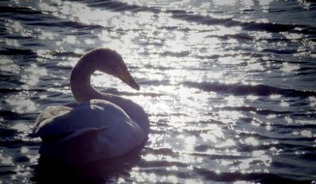 ������� �� ������ ����� ������  ������� ������� �� ����� 