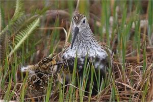 ����� ���������������� ���������� � ������������ ����������� � 2011 ����