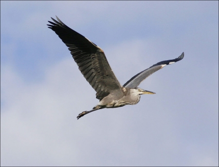 � ���������� ������� ������ �����!