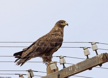 ������������� �������� ������ ������ ����