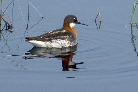 ����������� ���������� �� ���������� �����