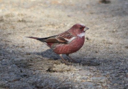 ����� - 2013. ������������ ����, 17 � 24 ����� 