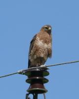 ������������� ���