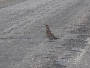 ����� � ���������� �����������  ������� ����������