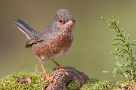 � ��������  ��������� ����� ����� � �����