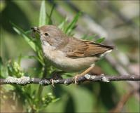 ���� ��� ������.