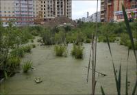 ���� ��� ������