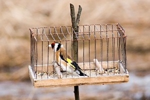 � �������������� ���� ����� ������