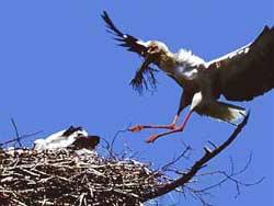 ���������� � ������ ������  ���� ��������� � ������