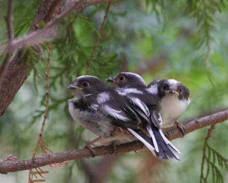 ����� � 2012: ���� �� ����.  24  ���