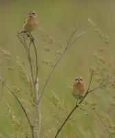 ����������:  3837
����:Thu Apr 6, 2006
