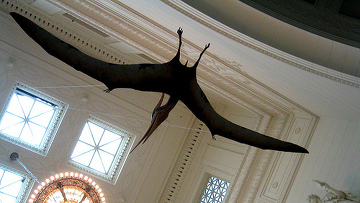 ��������� ��������� ����� ������ �������� ����������� ����