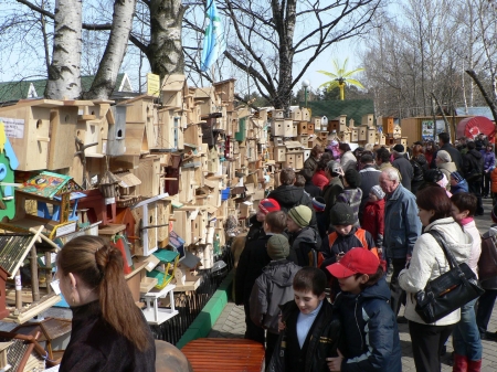 ���� ���� � ������ ���������