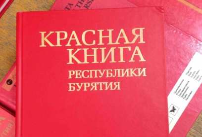 ���� ����� ���� ��������� �� ������� ����� �������