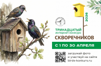 ����������� ��������-������� ������������