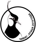 ������  ������� "����� - ����� 2010 ����...", 