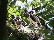 ׸���� ������ ��� ������ �� ��������