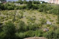 ������ ������