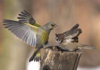 ����������:   	 3396
04 ������ 2006 �., ������������� �-�, ����.���.