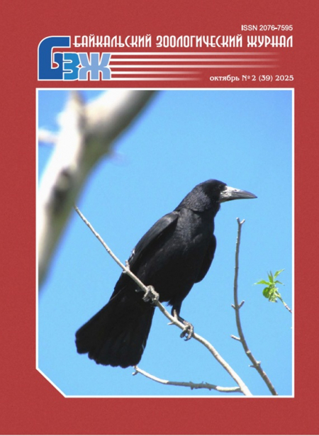 ����� �� ������ ����� ������ ������������ �������������� �������.