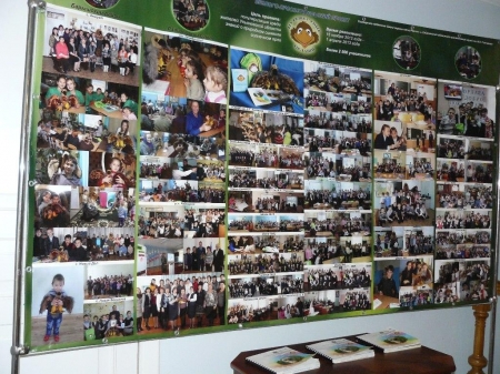 ���� ���� � ����������