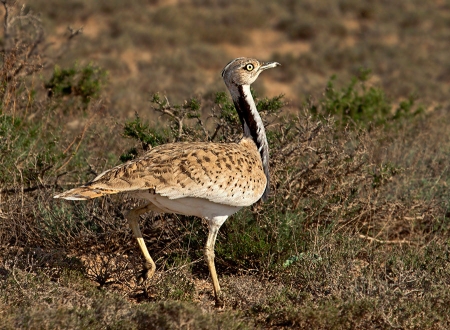 ����� 5 ���. ������ ����� ����������� ����� ������� � ���.