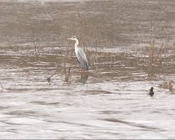  � ���������� ����������� ��������� ��������� ���� � ������