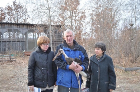 ������������� ����� ����� �����������