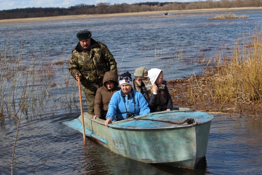 Воронинский 2016 Воронинский 2016