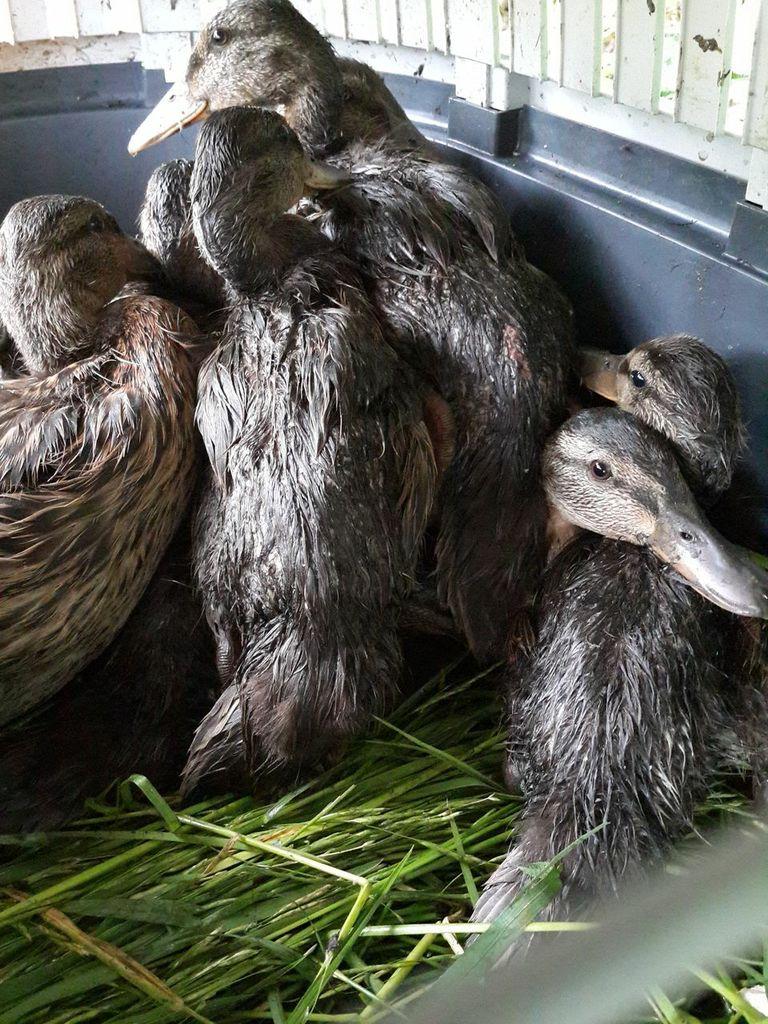 �������������