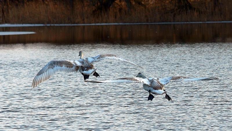 5_Себеж.JPG 5_Себеж.JPG