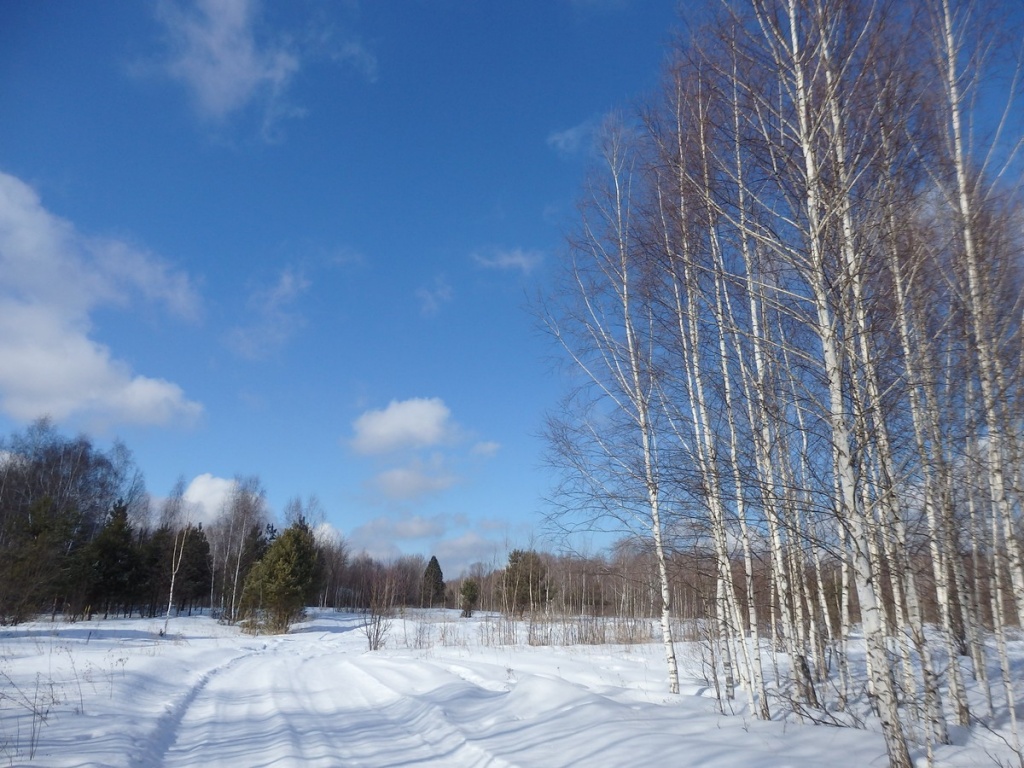 1.Берёзово-сосновые перелески.JPG 1.Берёзово-сосновые перелески.JPG