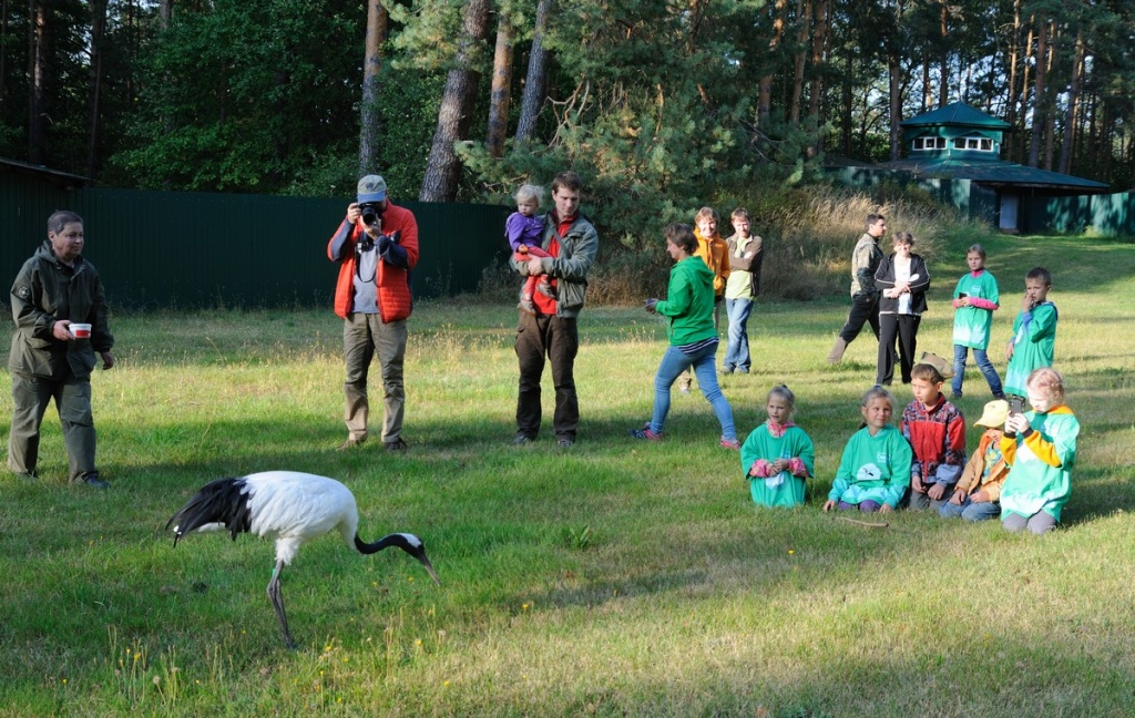 DSC_2552_1200.jpg