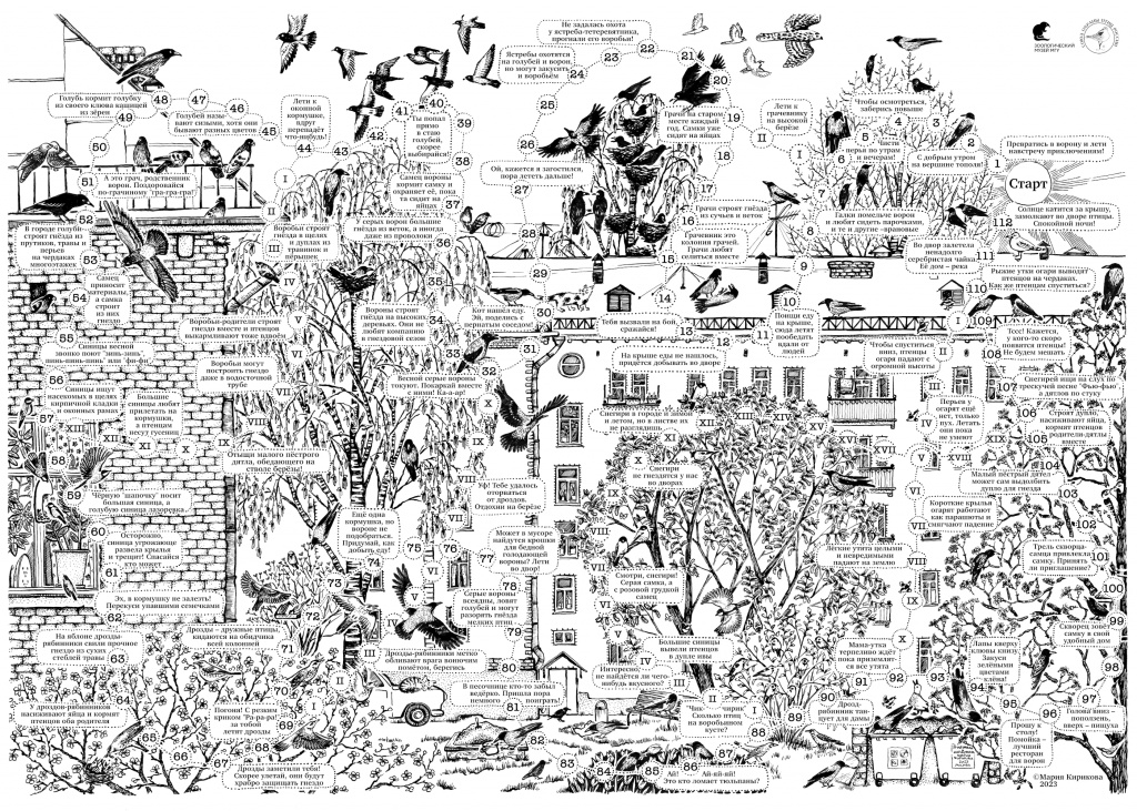 Игра Птицы нашего двора – маленькая версия.jpg Игра Птицы нашего двора – маленькая версия.jpg